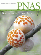 PNAS 2011 Cover Art