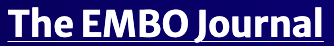 The EMBO Journal