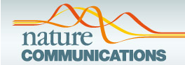 Nature Communications